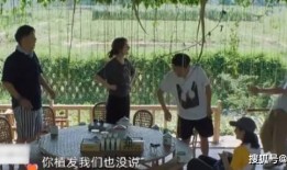 吴昕爆料何炅植发视频,吴昕意外曝光，揭秘明星保养秘诀